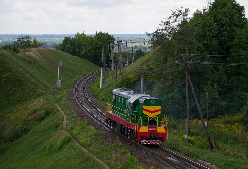 Лозовая