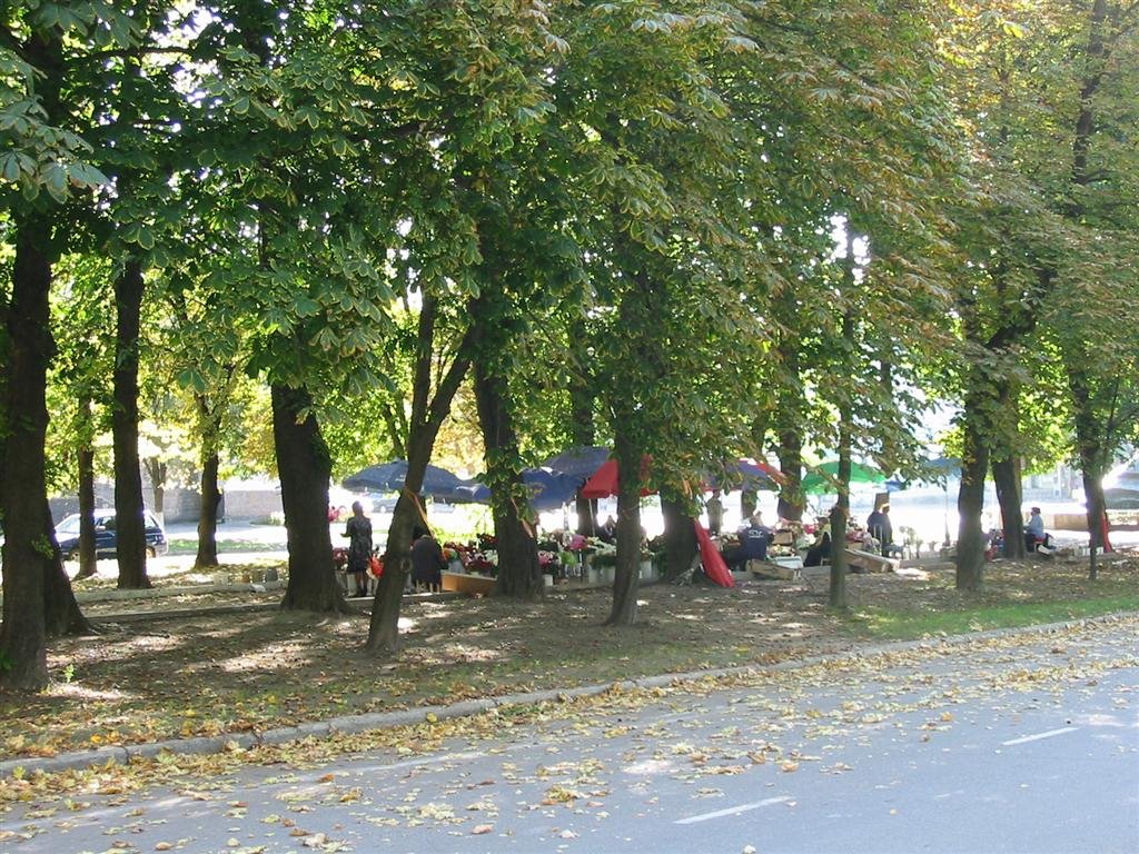 Romny, Сумська Ucraina