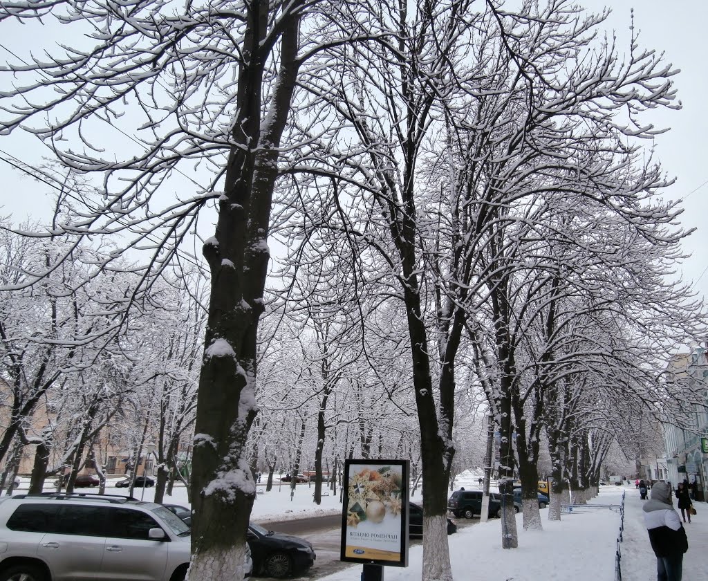 бульвар Шевченка