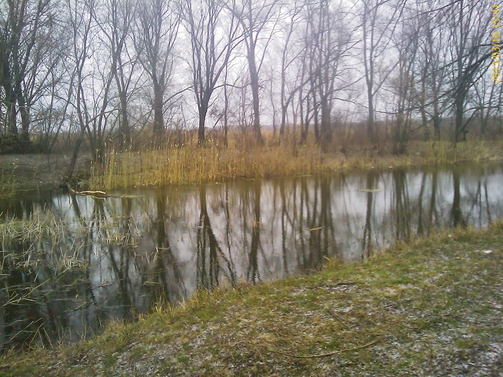р. Роменка