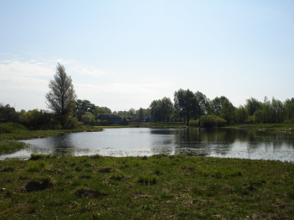 Лето 2009