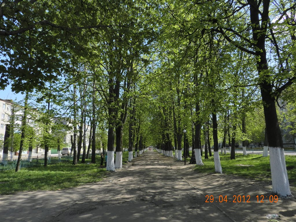 ПАРК-ВИД ОТ ЛЕНИНА