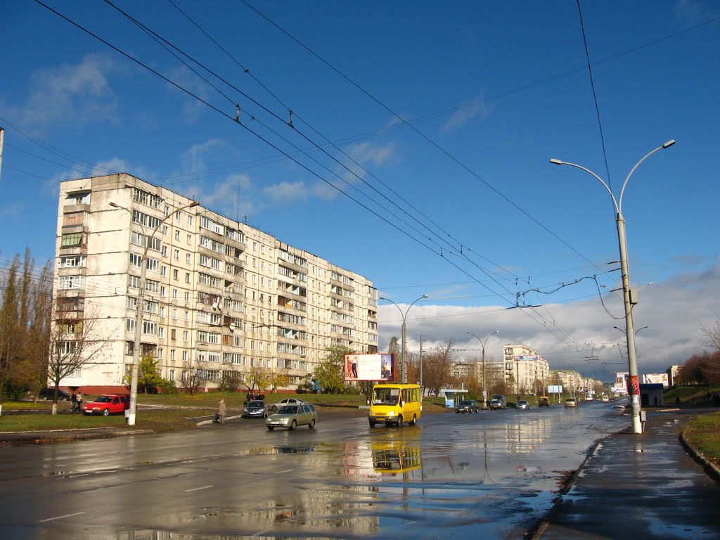 Проспект Лушпы