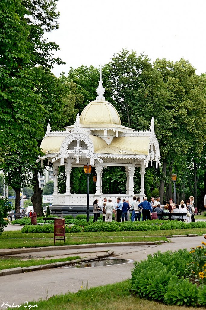 Сумы. Альтанка.
