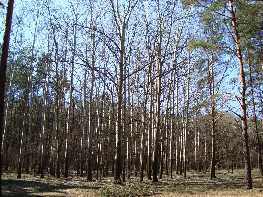 Квартал4