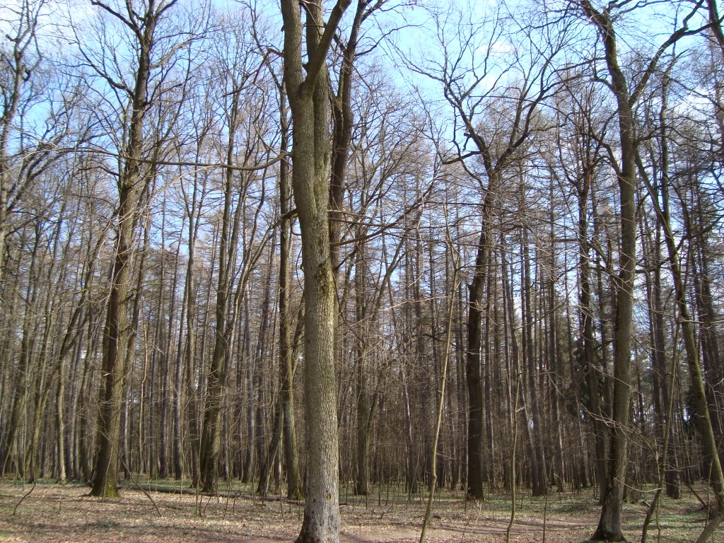 Кв. 3