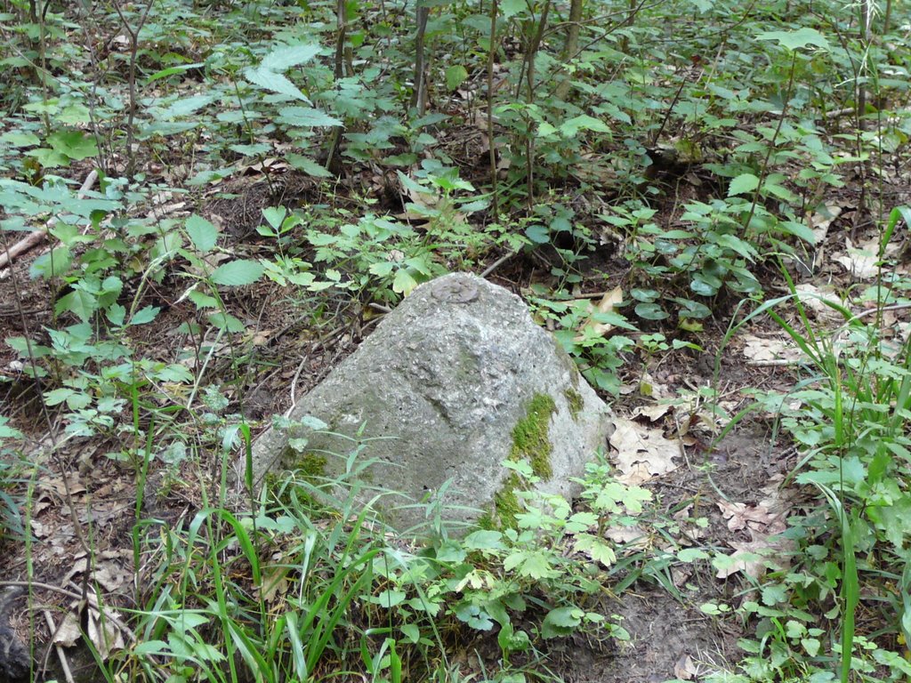 Old reference point