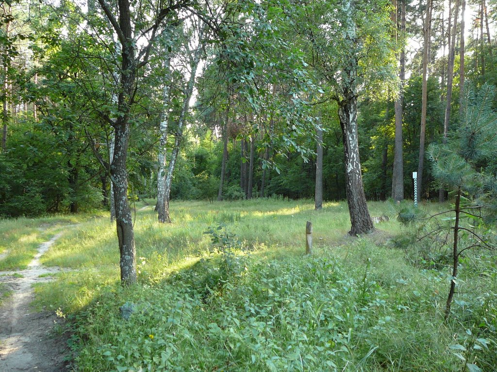 "Vesele" tract, boundary-mark