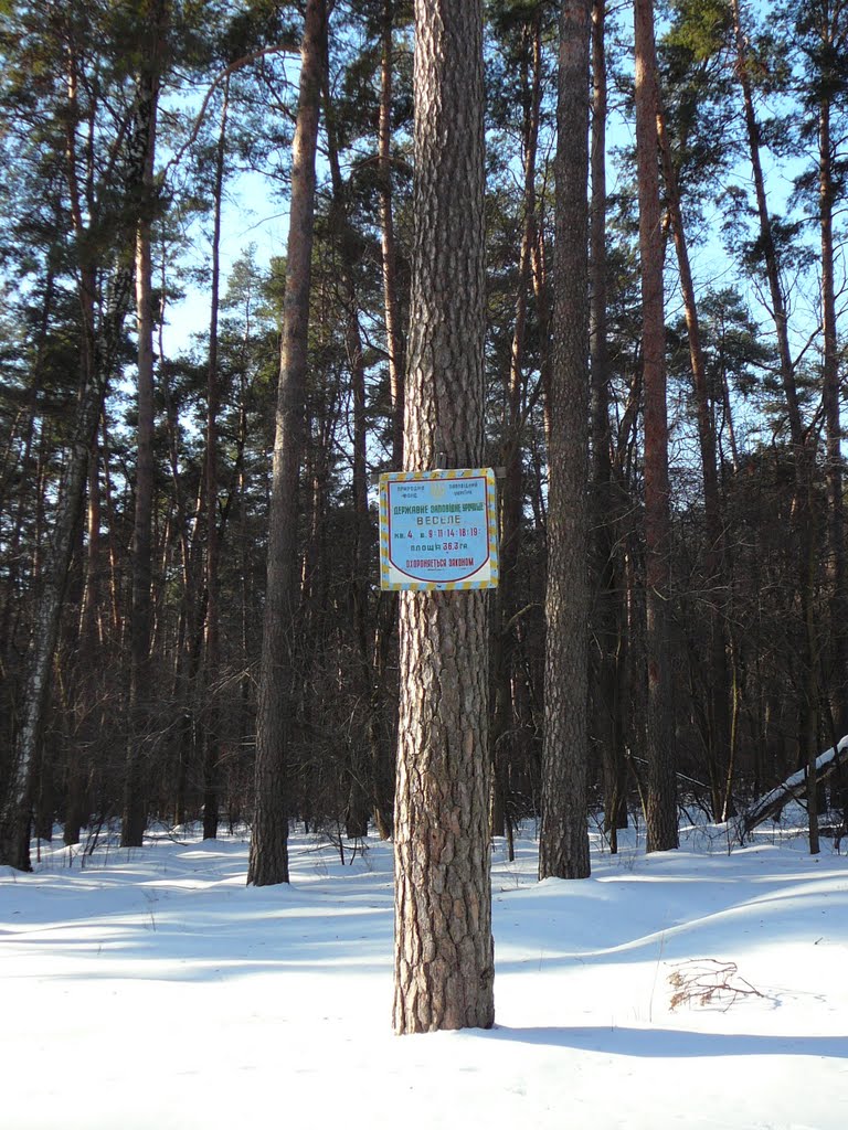 mark of reserved tract "Vesele"