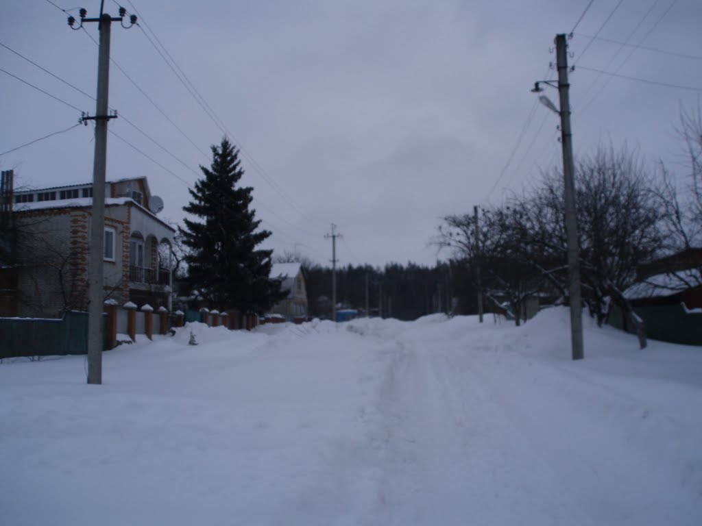 Тростянец, Садовая зимой