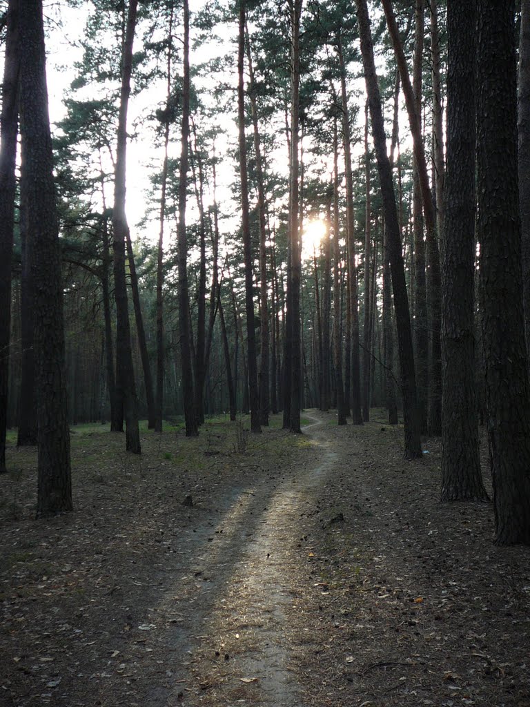 follow the path