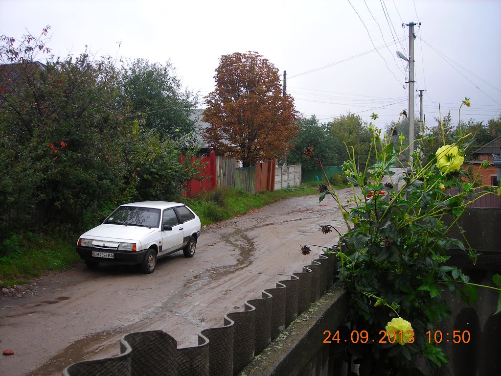 Тростянец