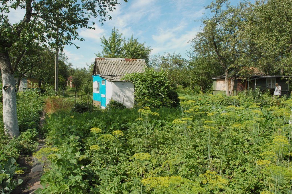 В химреактивовском саду