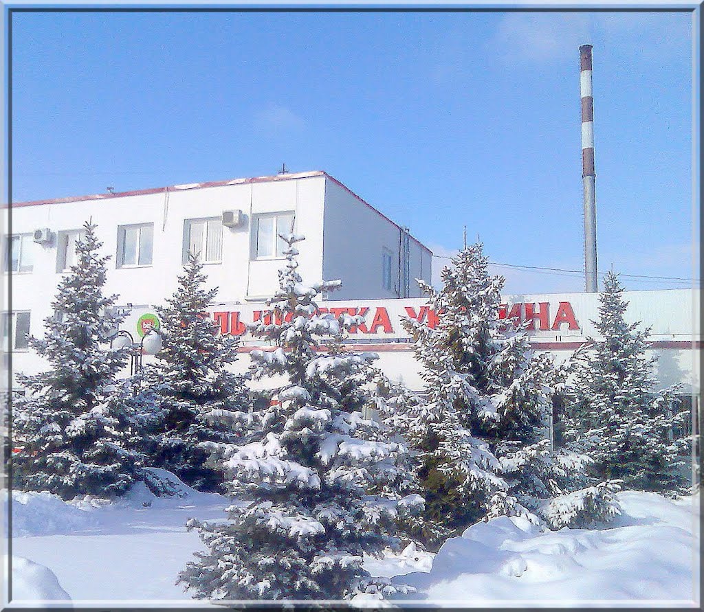 Бель Шостка Украина