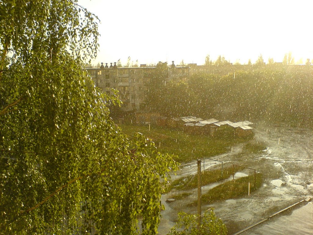 Мой двор, дождь