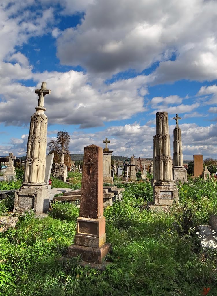 Бережани - цвинтар, Brzeżany - cmentarz, Berezhany - cemetary