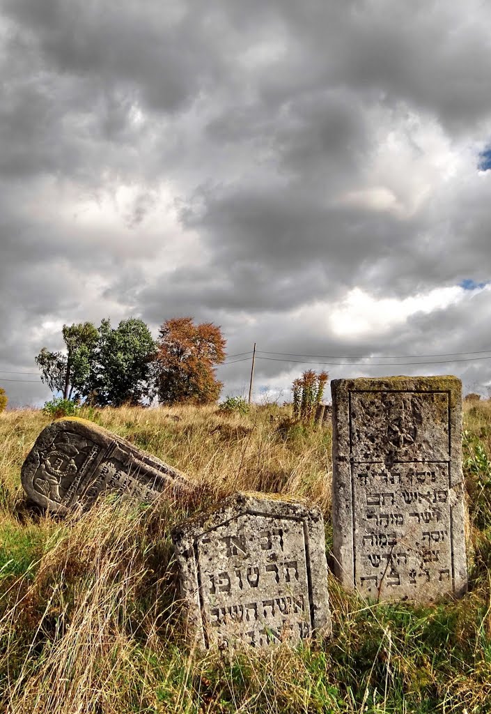 Бережани - старовинні мацеви, Berzhany - jewish cemetery, еврейское кладбище