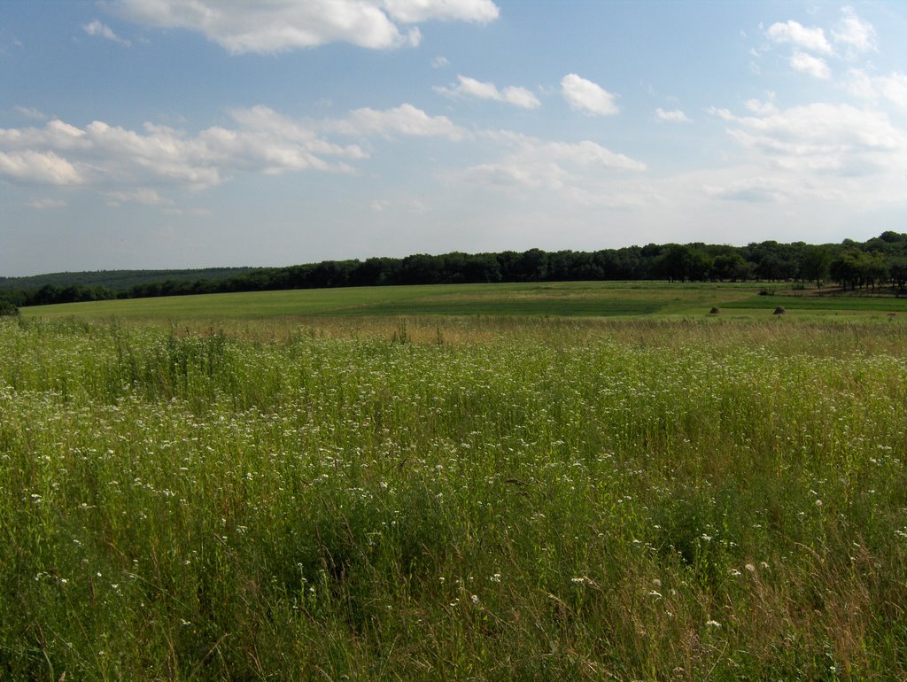 Fields next to TV tower