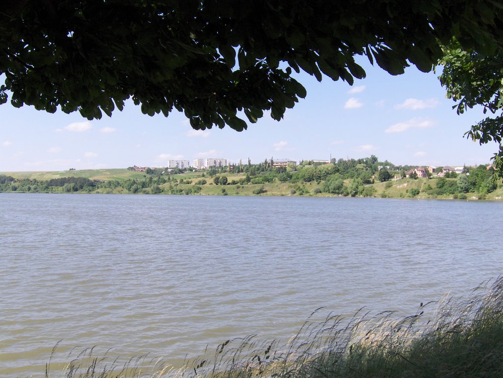 Berezhany Lake in summer 2008