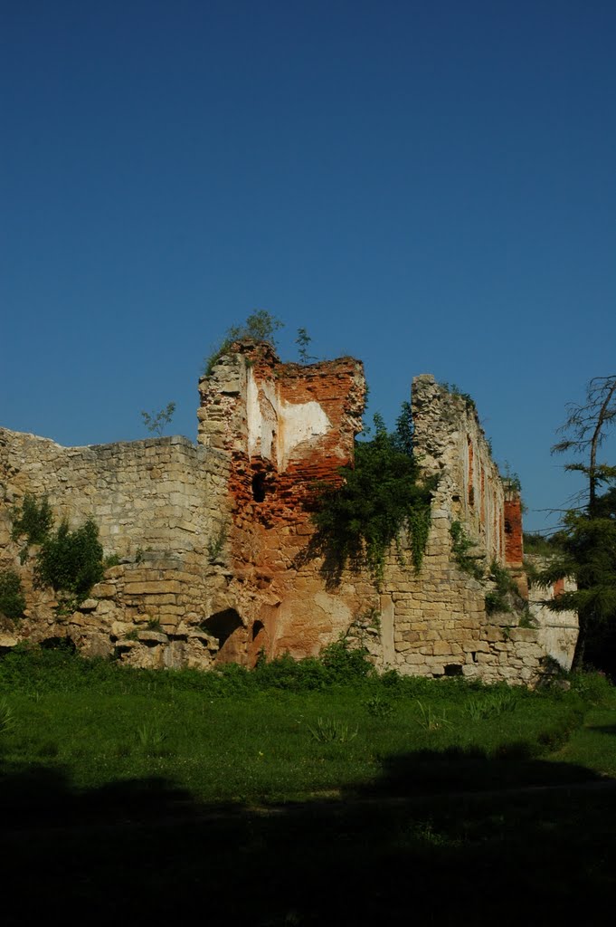 Развалины замка. The castle ruins.