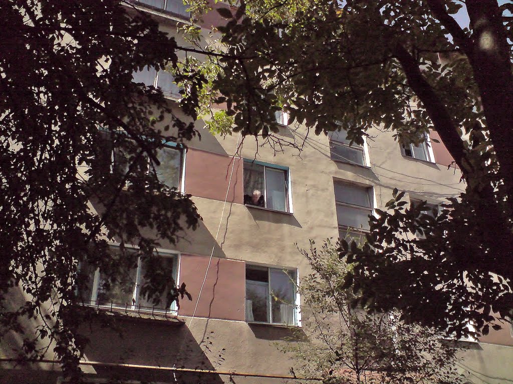 Berezhany , residential buildings ...