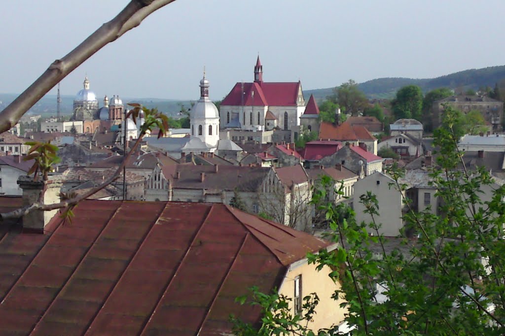 Панорама Бережан # Panorama Brzeżan