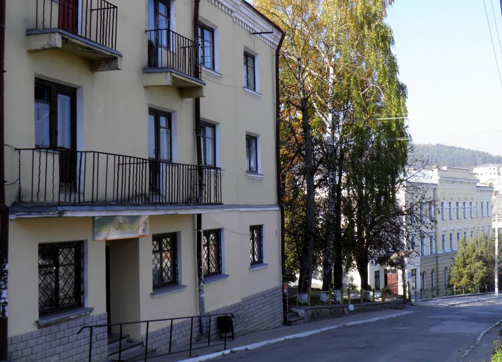 вул. Академічна  в Бережанах