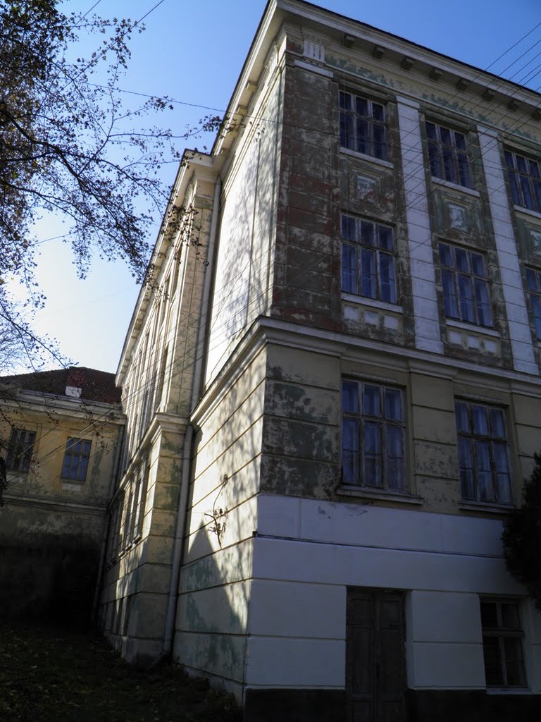 Гімназія в Бережанах