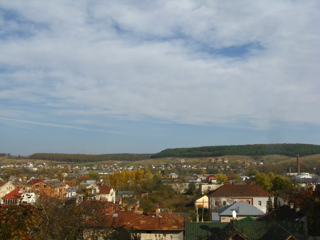 Панорама м. Бережани