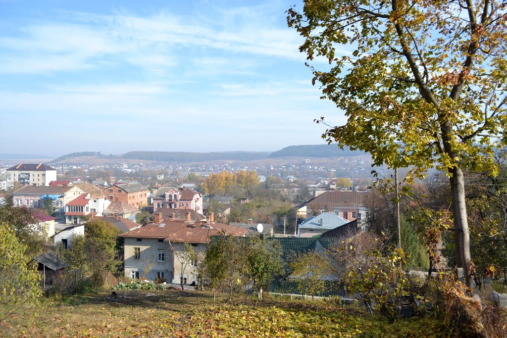 Панорама м. Бережани