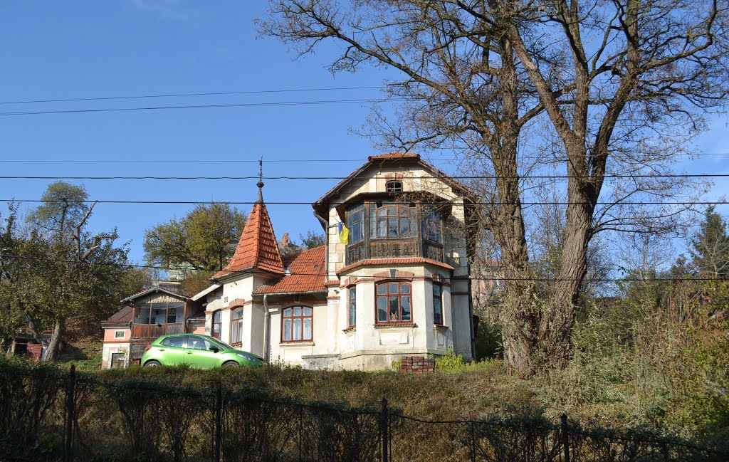 Вілла Дубицького, м. Бережани