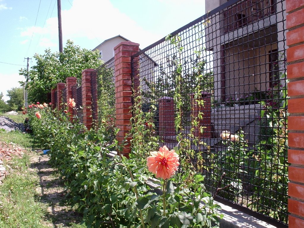 ул. Черемшины