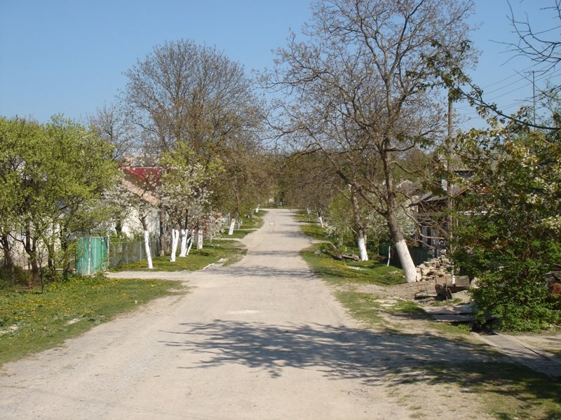 Chornovola street