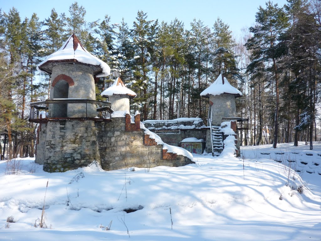 Зимовий Замковий ліс