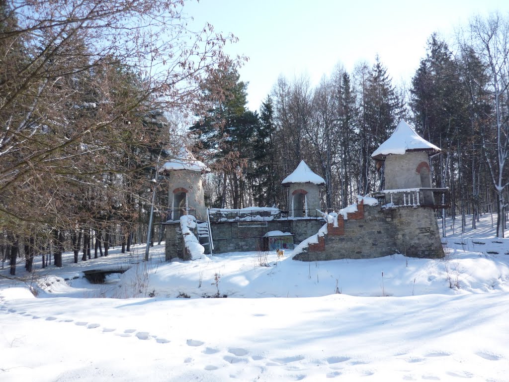 Зимовий Замковий