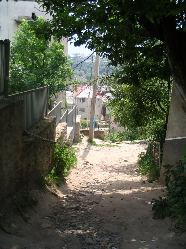 The way to Torgovycha. Buchach