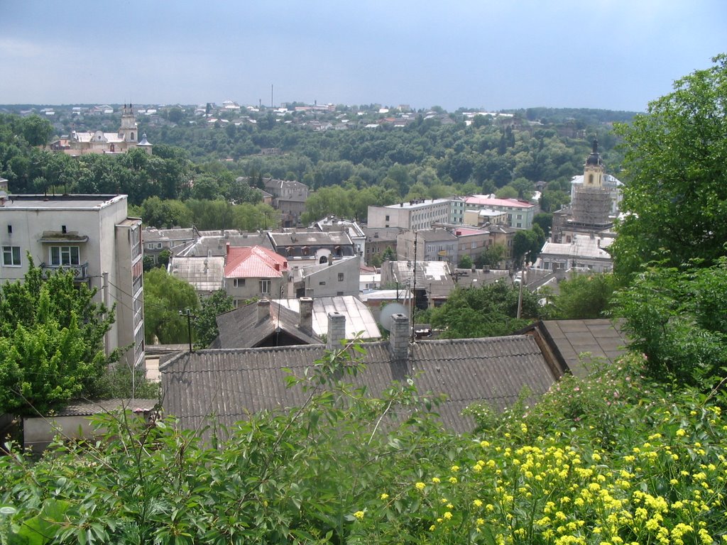 Buchach