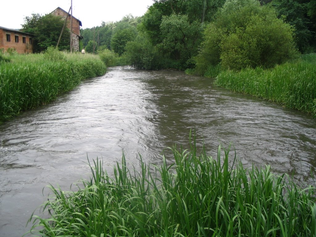 Stypa river