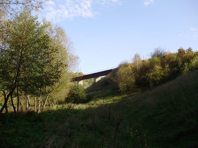 Bridge on river Strypa