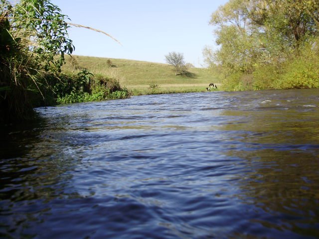 river Strypa