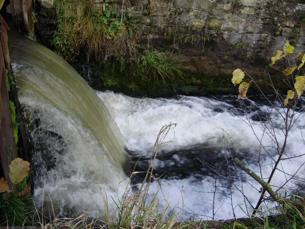 Damba in r.Strypa