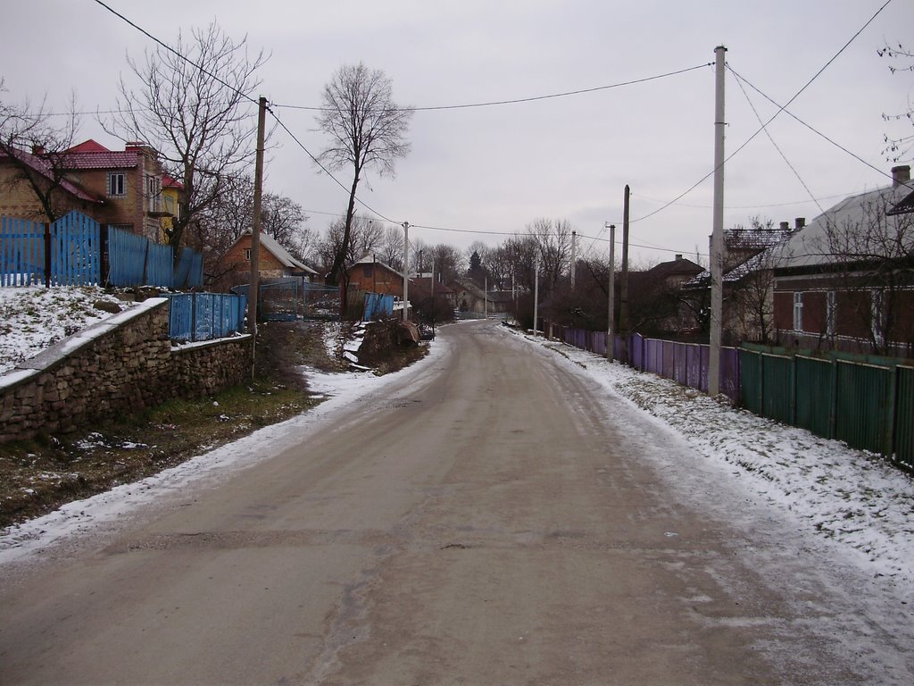Pidgaetska st.
