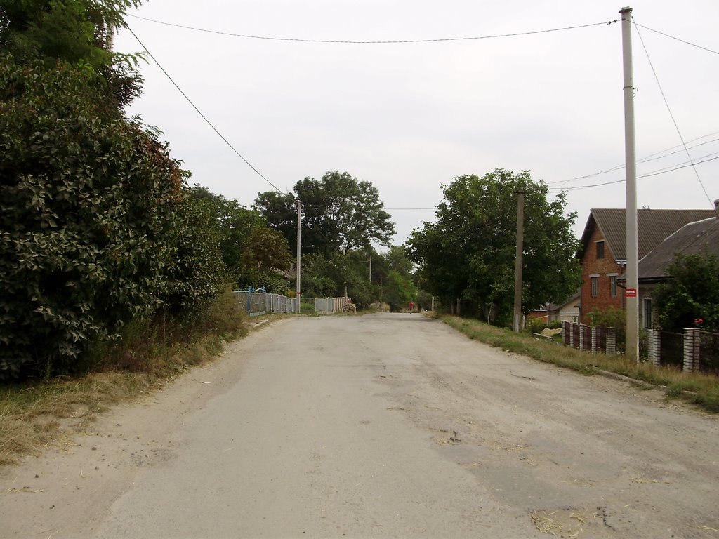 Pidgayetska str.
