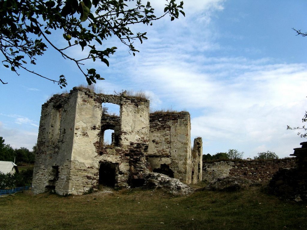 с. Підзамочок. Палац замку. / Castle-fortress. Podzamochok. Palace.