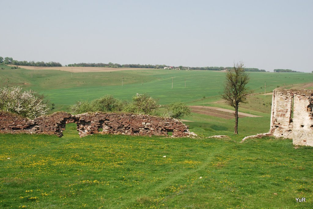 Підзамоцький замок