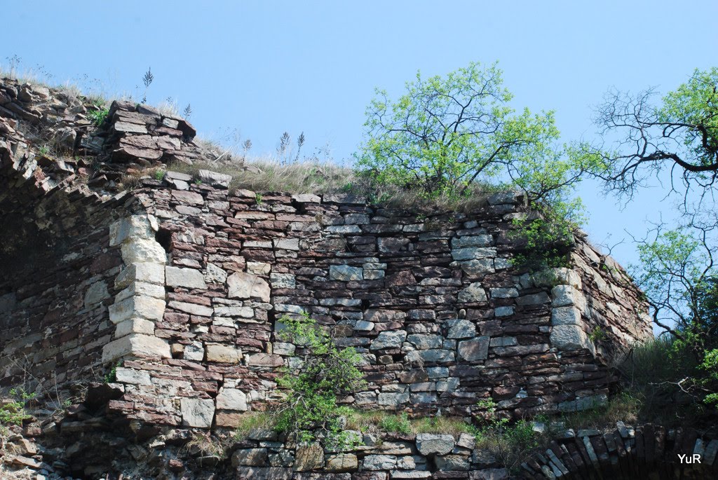 Vyshnivchyk
