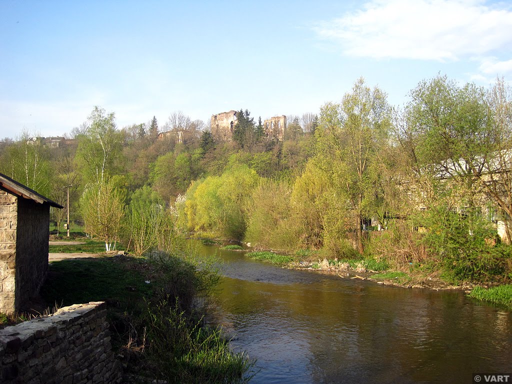 Замок (Бучач)