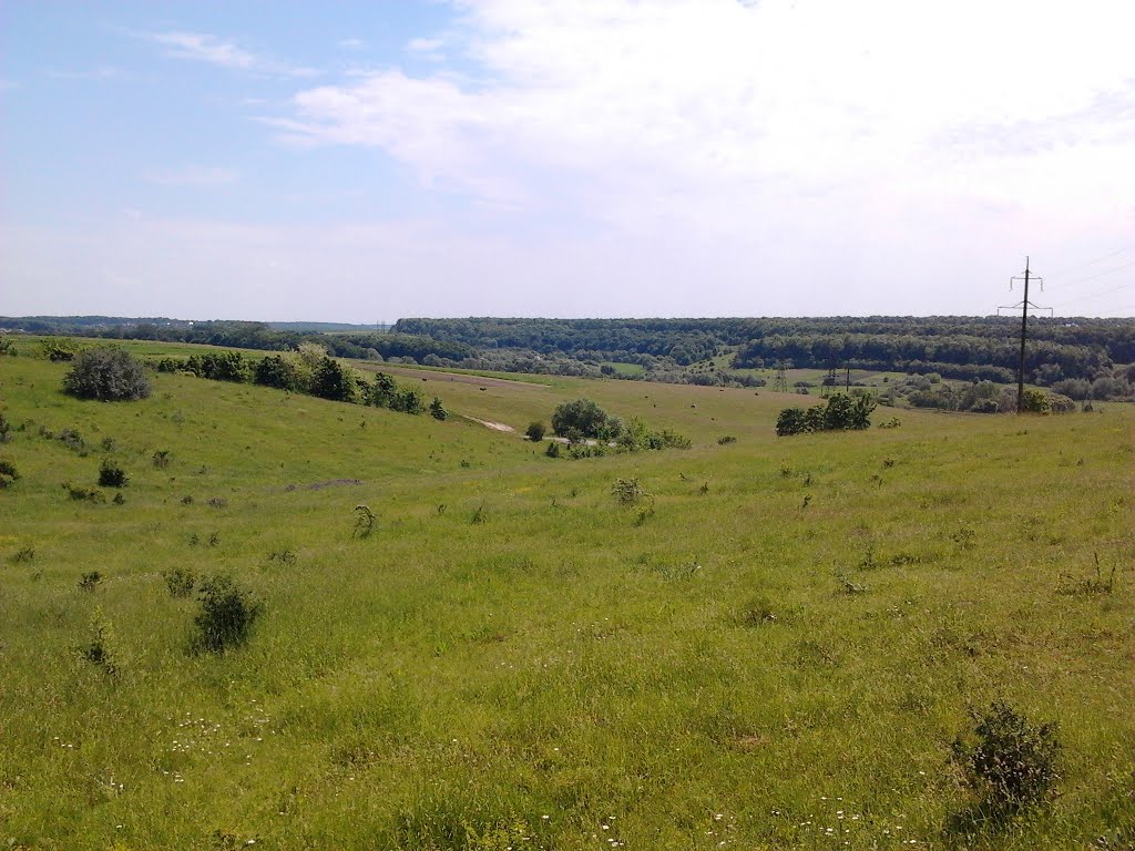 Великі Бірки