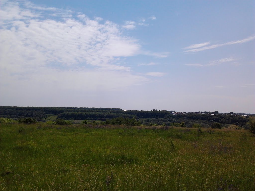 Великі Бірки