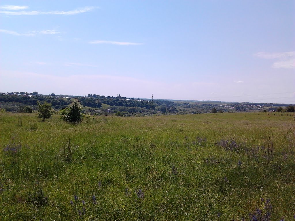 Великі Бірки